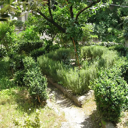 维里克旅馆 斯普利特