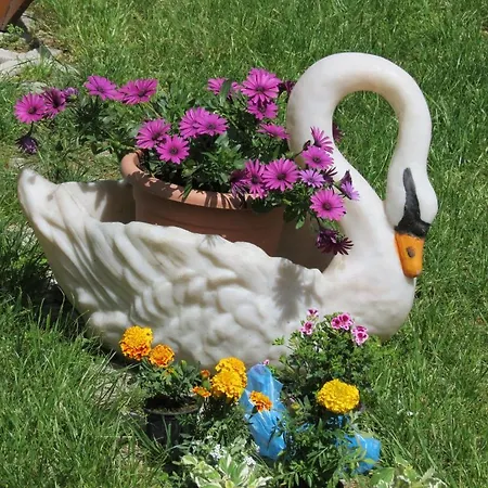 Vrlic Pensión Split